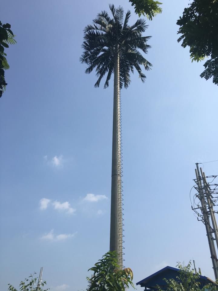 cột anten cây dừa
